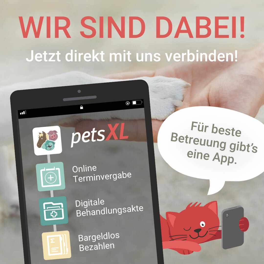 petsXL App