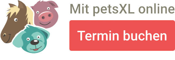 Terminvereinbarung über petsXL